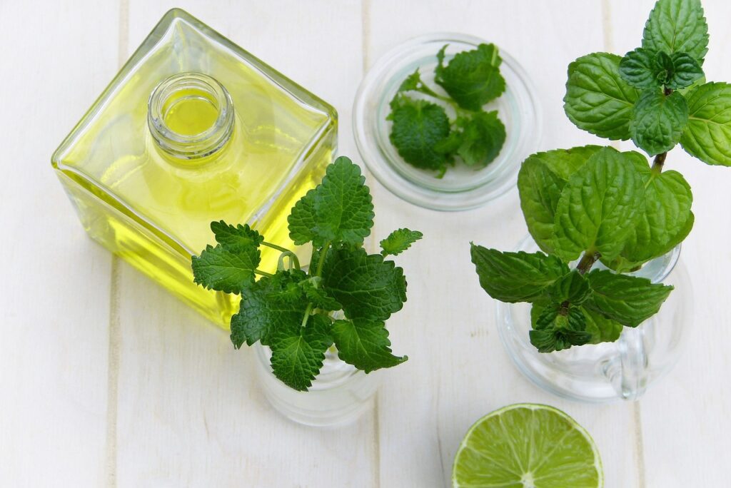 What happens when you use Peppermint Oil | Peppermint Oil Usage, Benefits and Side Effects